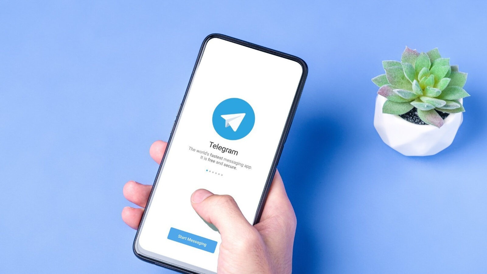 Аналитика продаж через Telegram